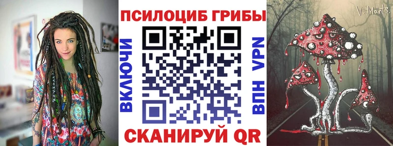 Псилоцибиновые грибы Psilocybine cubensis  Южа 